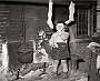 calze della befana